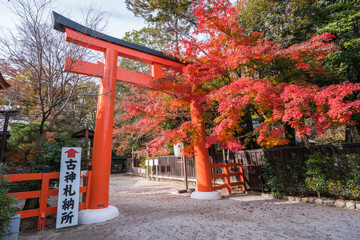 京都　下鴨神社の鳥居と紅葉