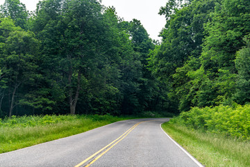 Fototapeta na wymiar View of road with nobody leading to forest in Shenandoah Blue Ridge appalachian mountains on skyline drive
