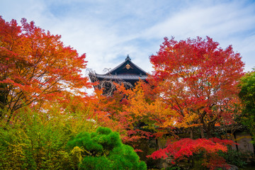 京都　南禅寺　天授庵の紅葉