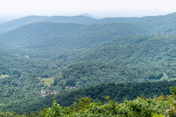 View of trees in Shenandoah Blue Ridge appalachian mountains on skyline drive overlook and rolling hills