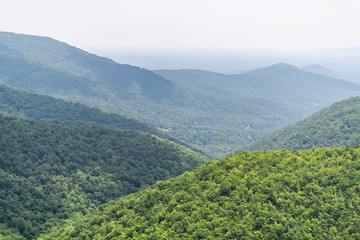 View of horizon in Appalachian Shenandoah Blue Ridge mountains on skyline drive overlook and rolling hills