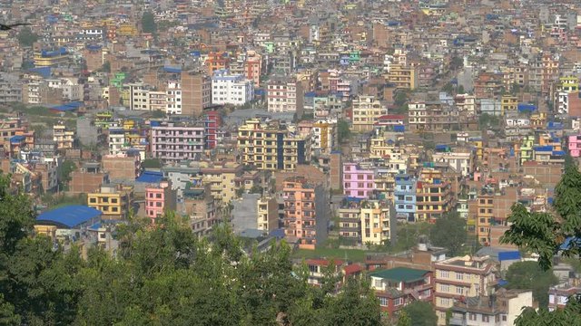 SLOW MOTION Wild birds fly above the trees overlooking the overpopulated city of Kathmandu. Panoramic shot of a large poverty stricken city in Nepal with wild birds flying above it. Colorful buildings