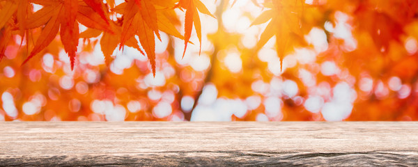 Empty wood table top and blurred autumn tree and red leaf in the park banner background - can used for display or montage your products.