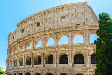Fototapeta premium Colosseum in Rome