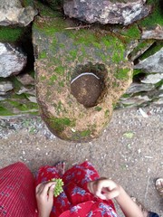 stone in garden