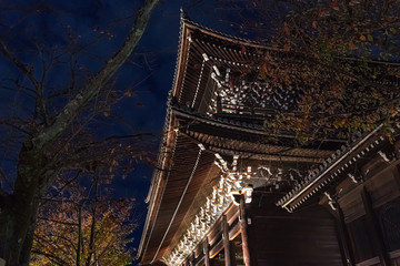古都京都 闇夜に浮かぶ山門