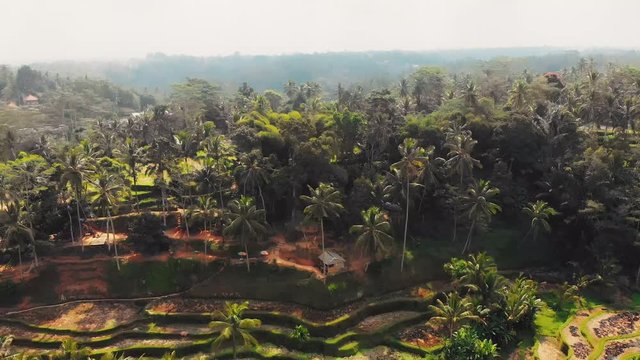 Bali Rice Terrace shot on Mavic Air H264 codec 3840 x 2160