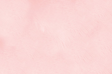 Beautiful soft pink color trends feather pattern texture background
