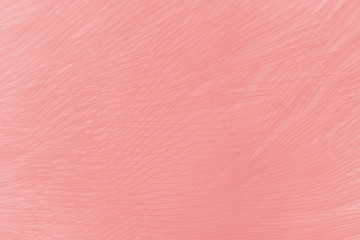 Beautiful soft pink color trends feather pattern texture background