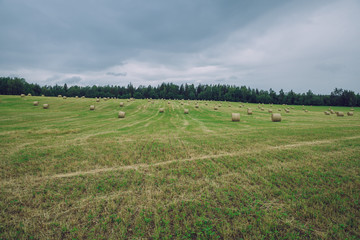 Fototapeta na wymiar City Cesis, Latvia Republic. Overcast day, meadow hay rolls and trees around. July 7. 2019 Travel photo.