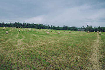 Fototapeta na wymiar City Cesis, Latvia Republic. Overcast day, meadow hay rolls and trees around. July 7. 2019 Travel photo.