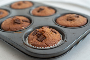 home made chocolate chip muffins in a muffin tray