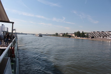 Rhine river near Mainz