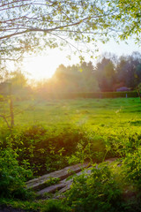 Fototapeta premium Natural Sunset or Sunrise Over Field Or Meadow with a Bright Dramatic scenic and colorful Sky against a Dark Ground.