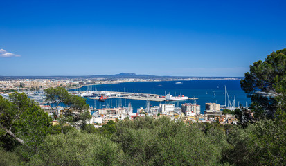 Fototapeta na wymiar Panoramic view of the port of Palma de Mallorca