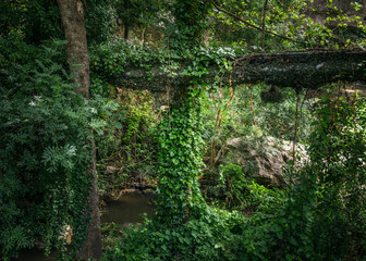 River in an abandoned garden
