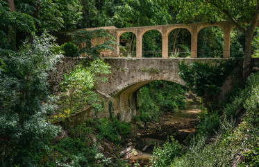 Fototapeta na wymiar Old bridge in an abandoned garden