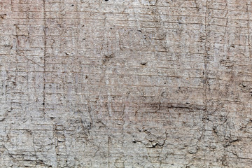 Old Weathered Wood Texture Closeup