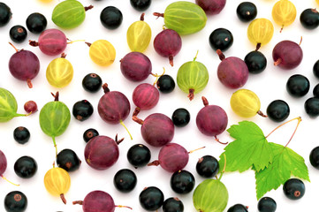 gooseberry and black currant berries on white background, healthy lifestyle and nutrition concept