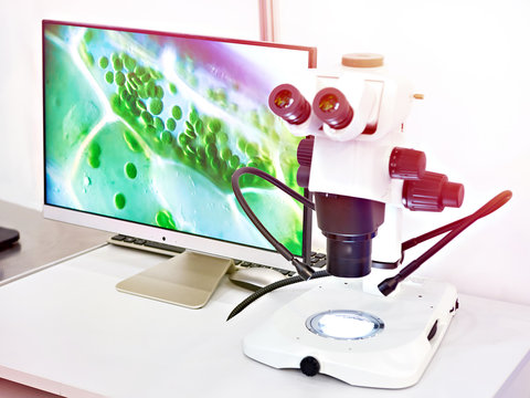 Research stereo microscope with monitor