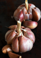 Fresh garlic head on black background