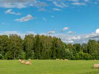 Dry hay rolls. Forage for winter, meadow, Latvia