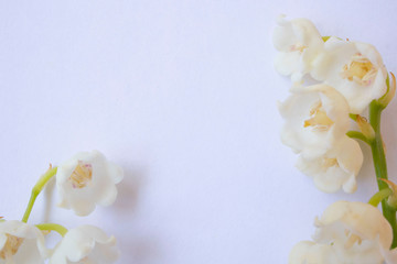 flowers white bells on a white background, copy space, place for advertising or writing