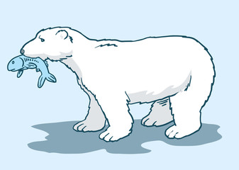 Polar bear