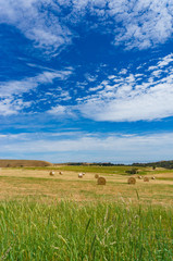 Picturesque countryside landscape