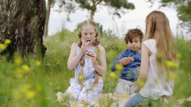 Carefree teenagers eating pizza at green lawn while summer picnic. Teenager girls and boy eating pizza while summer camping on blooming fields. Summer vacation activity. Glade with dazy flowers meadow