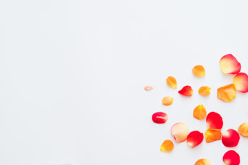 Flower festival. Flat lay of red and orange rose petals scattered over white background. Copy space.