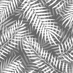 Hand drawn vector Black and white palm leaves seamless pattern
