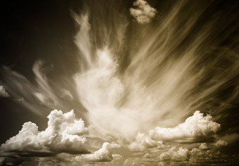 white clouds float in the blue sky