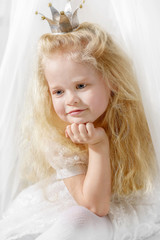 Portrait of a little girl in princess costume