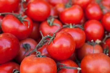 red fresh tomatoes on branch in wicker baskets on counter