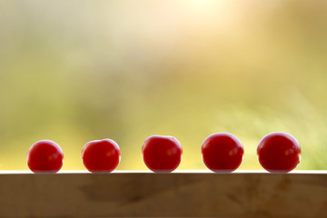 Red ripe cherry tomatoes isolated on neutral background