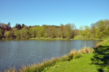 Fototapeta na wymiar See bei Stedtfeld-Eisenach