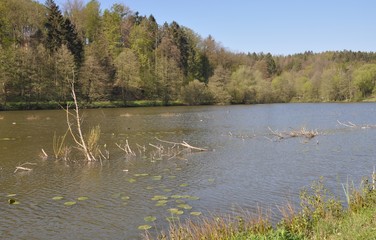 See bei Stedtfeld-Eisenach