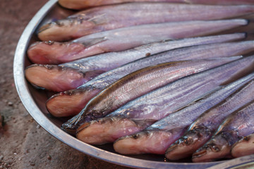 Sheatfishes,Sheatfishes sell in local market Thailand