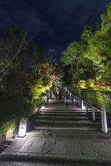 京都 ライトアップされた参道の石段