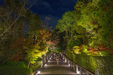 京都 ライトアップされた参道の石段