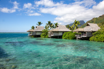 Tahiti Bungalow