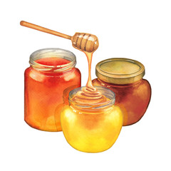 Tree watercolor bottles of different sorts of honey