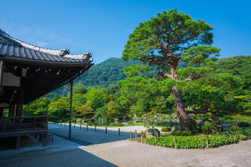 京都　天龍寺　夏
