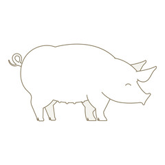 Pig animal. Pork. Outline line contour vector icon illustration.