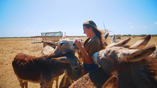 Young girl surrounded by an adorable herd of donkeys in a sanctuary in Bonaire, Caribbean
