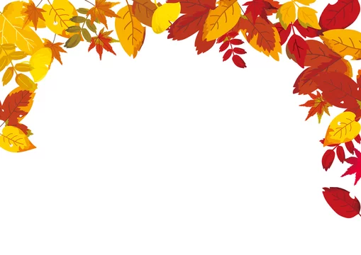 落ち葉 秋イメージ 背景イラスト Stock Vector Adobe Stock 落ち葉 秋イメージ 背景イラスト Stock Vector Adobe Stock