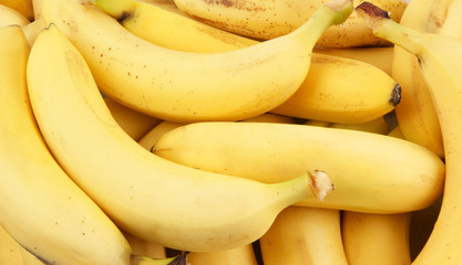 Fresh bananas background 