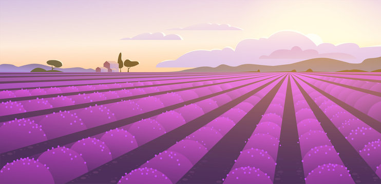 Vector flat landscape illustration of beautiful lavender field on sunrise: sky, mountains, cozy houses, lavender. For travel banner, card, touristic advertising, wedding invitation, brochure, flayer.