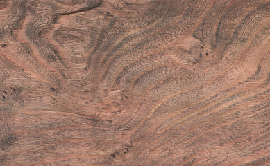 old rough woody wood background with cross section rings